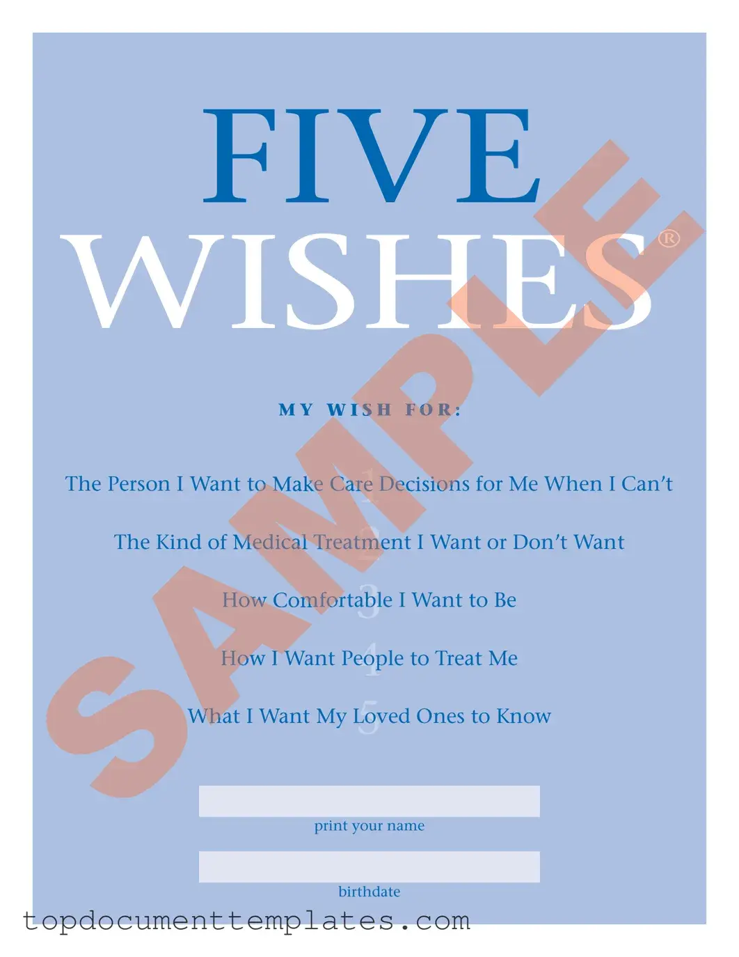 Blank 5 Wishes Document PDF Form