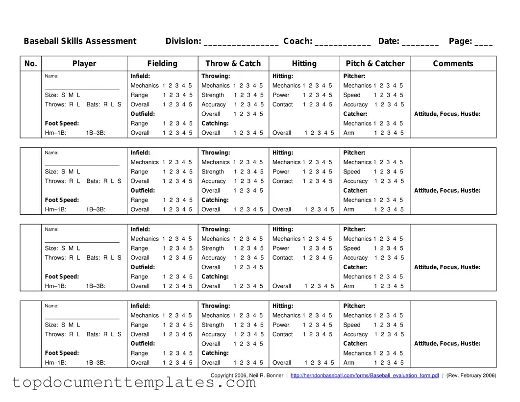 Blank Baseball Assessment PDF Form