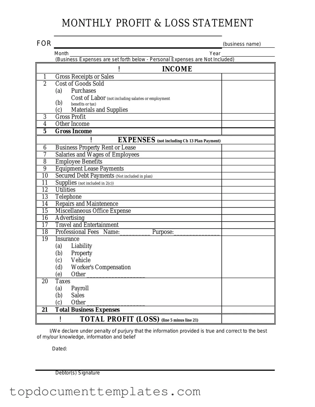 Blank Profit And Loss PDF Form