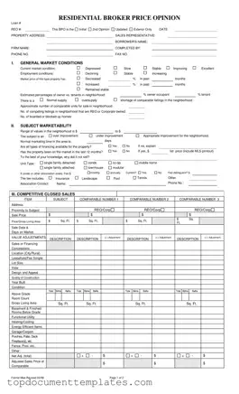 Blank Broker Price Opinion PDF Form