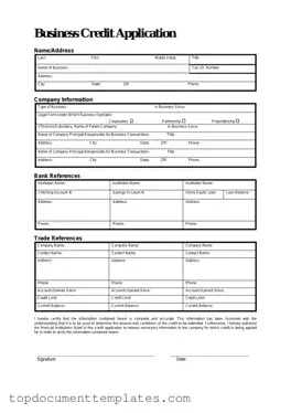 Blank Business Credit Application PDF Form