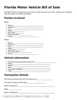 Valid Motor Vehicle Bill of Sale Form for Florida State