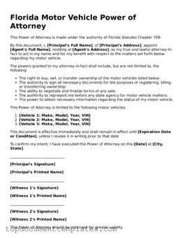 Valid Motor Vehicle Power of Attorney Form for Florida State