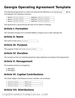 Valid Operating Agreement Form for Georgia State