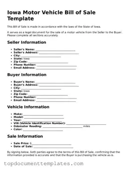 Valid Motor Vehicle Bill of Sale Form for Iowa State